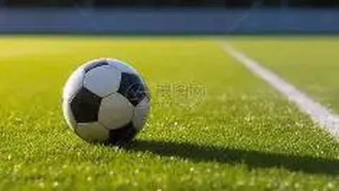 掘金以34分13助攻优势击败湖人，约基奇、威少均贡献两双，詹姆斯得18分