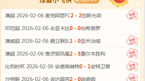 美国网球梦之队勇摘2025联合杯桂冠